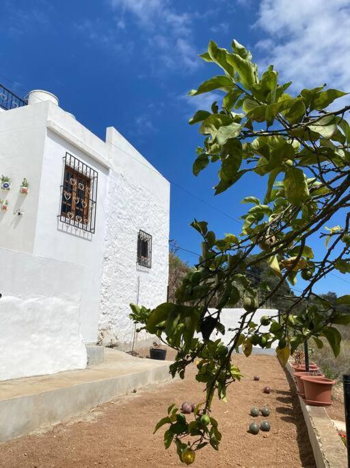 הוילה טרור Casa Aya מראה חיצוני תמונה